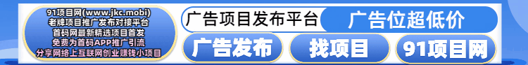 91项目网