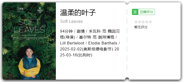 温柔的叶子.png