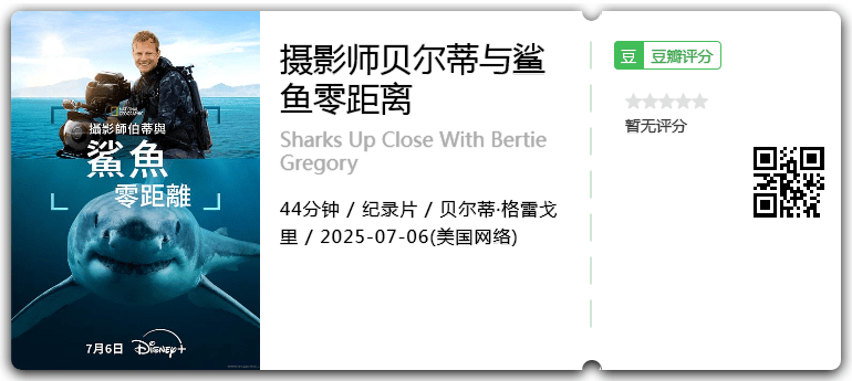 摄影师贝尔蒂与鲨鱼零距离.png